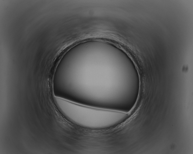 X0000095681497200801081051
