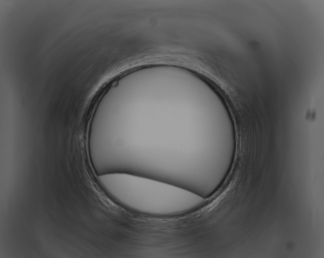 X0000095681498200801081051