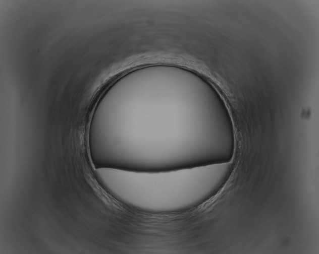 X0000095681499200801081051