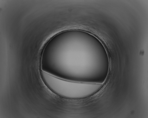 X0000095681500200801081051