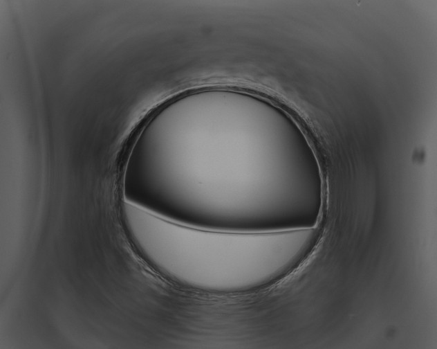 X0000095681501200801081051