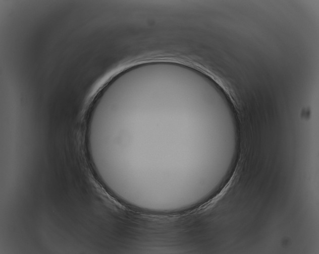 X0000095681502200801081051