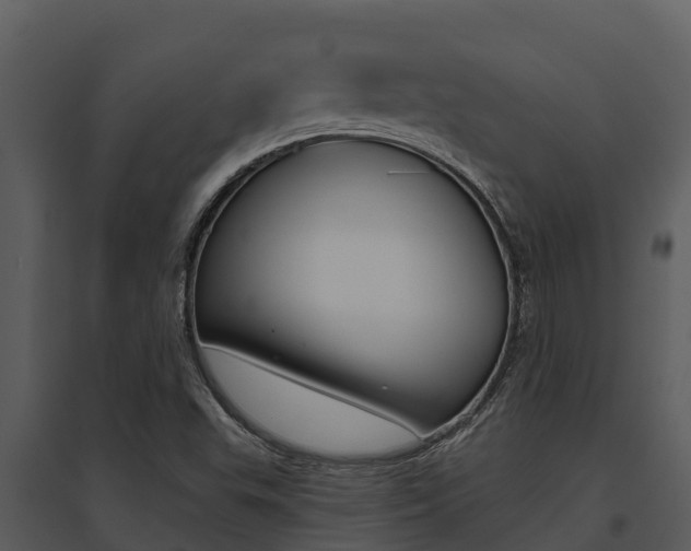 X0000095681503200801081051