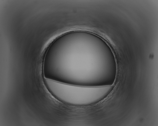 X0000095681504200801081051