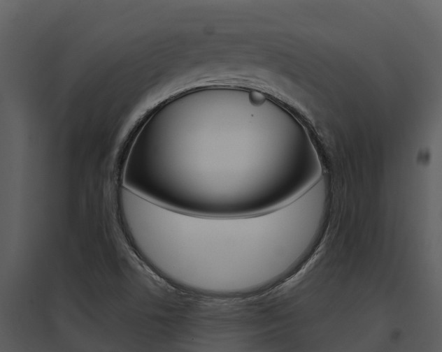 X0000095681506200801081051