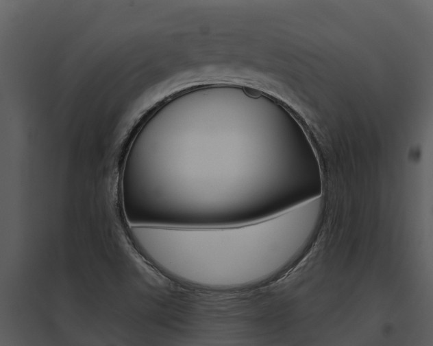 X0000095681507200801081051