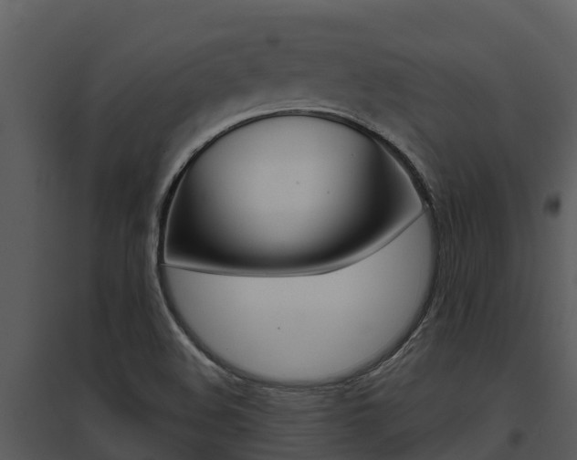 X0000095681508200801081051