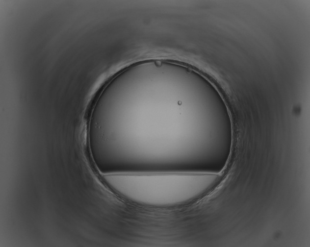 X0000095681509200801081051