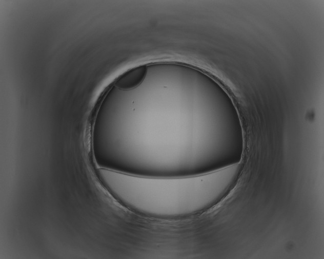 X0000095681510200801081051