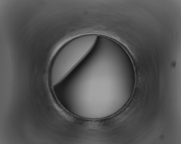 X0000095681511200801081051