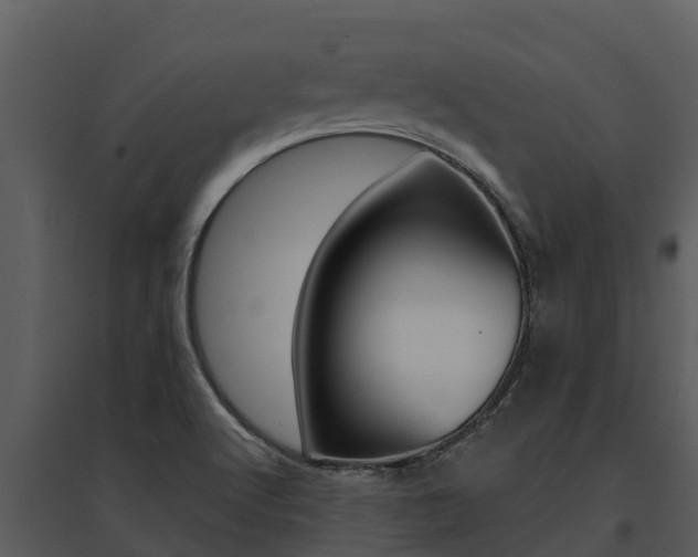 X0000095681512200801081051