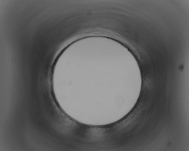 X0000095681514200801081051