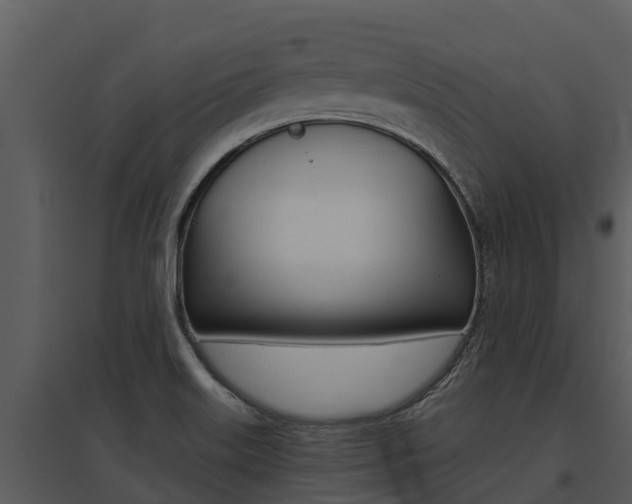 X0000095681515200801081051