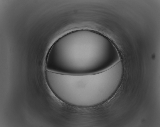 X0000095681516200801081051
