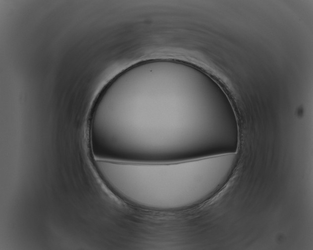 X0000095681517200801081051