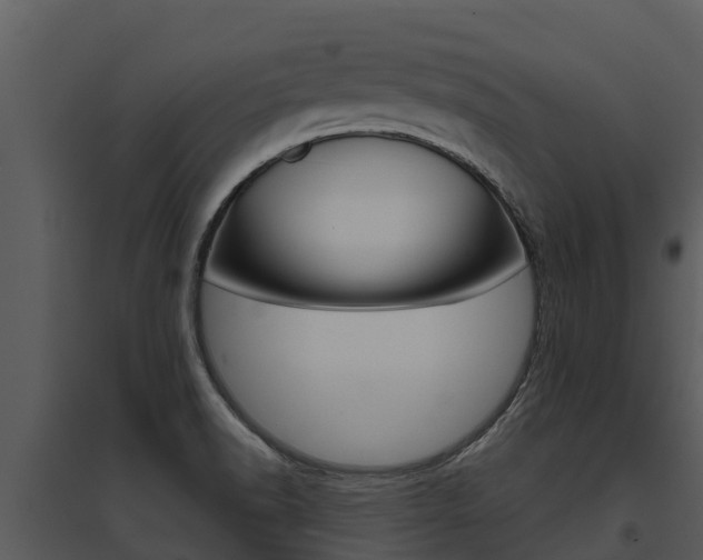 X0000095681518200801081051