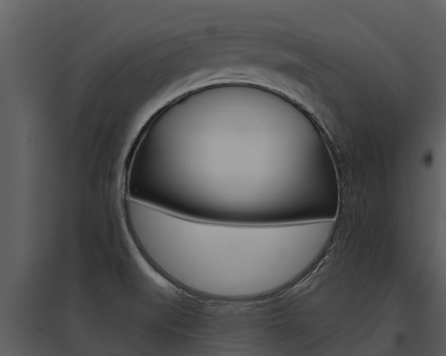X0000095681519200801081051