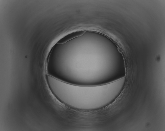 X0000095681520200801081051