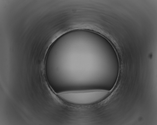 X0000095681521200801081051