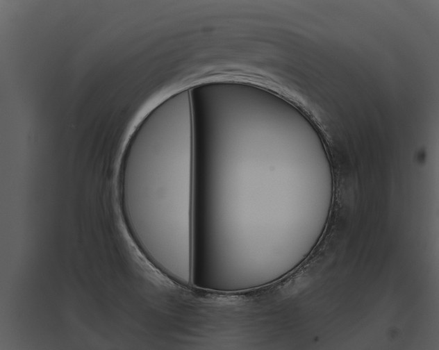 X0000095681522200801081051