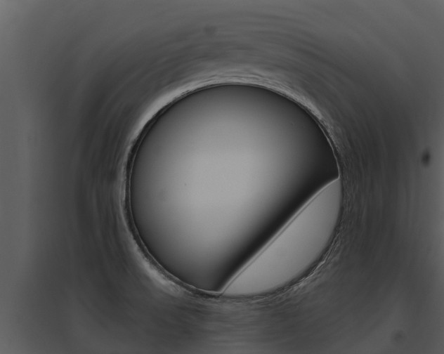 X0000095681523200801081051