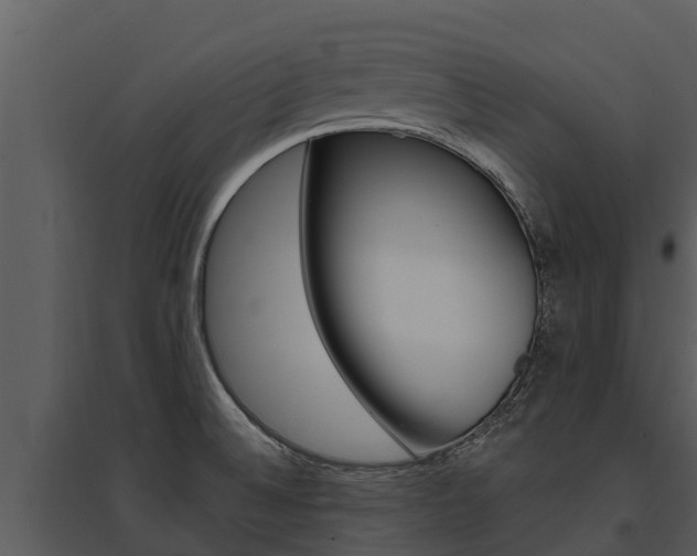 X0000095681524200801081051