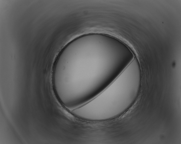 X0000095681525200801081051