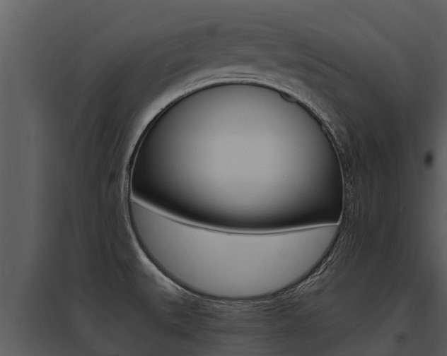 X0000095681527200801081051