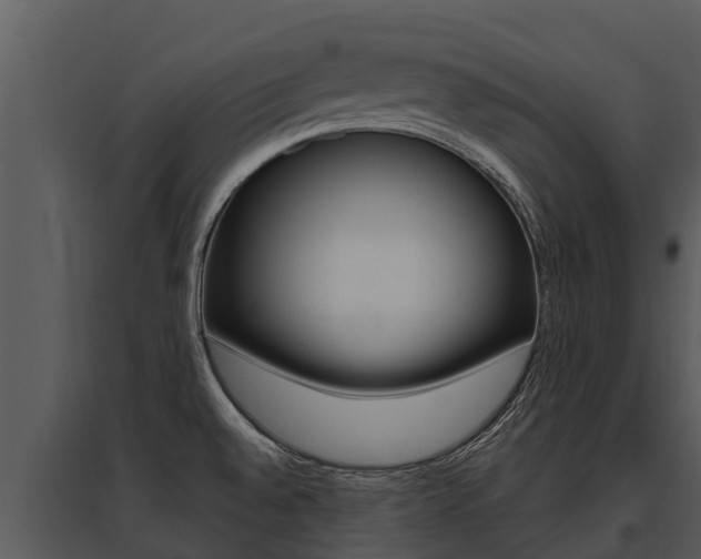 X0000095681528200801081051