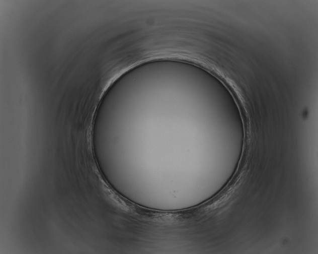 X0000095681529200801081051