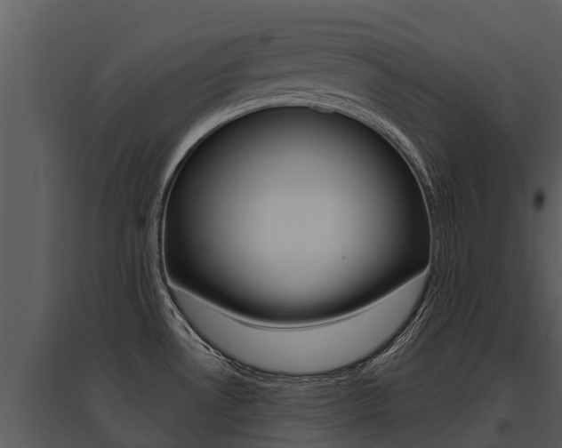 X0000095681530200801081051