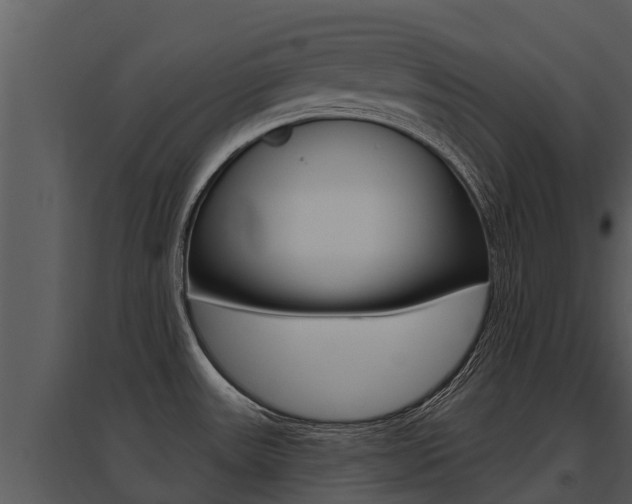 X0000095681531200801081051