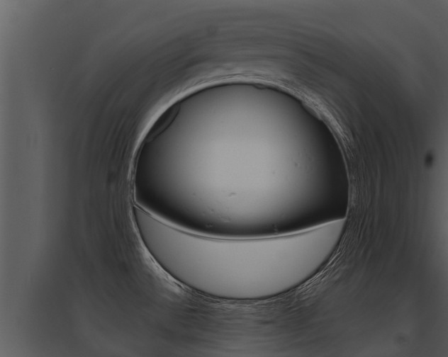 X0000095681532200801081051