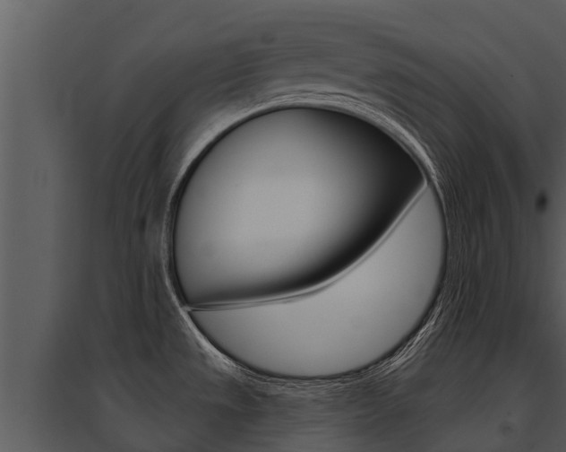 X0000095681533200801081051