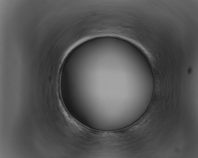X0000095681534200801081051