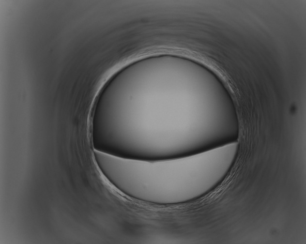X0000095681535200801081051