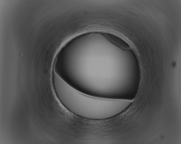 X0000095681536200801081051