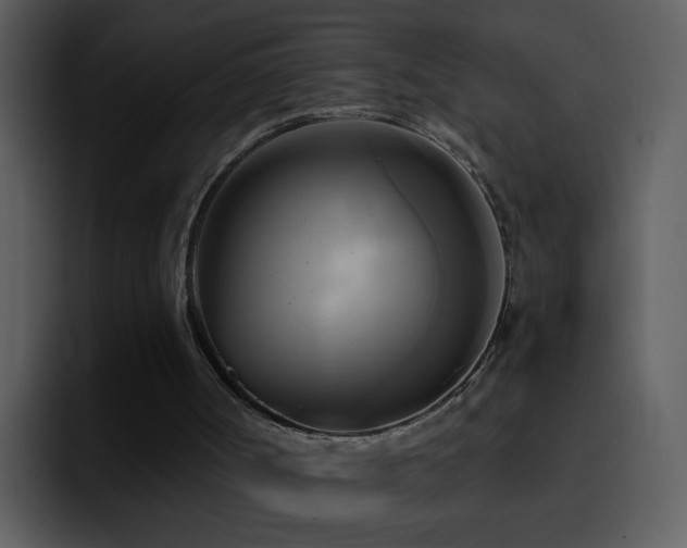 X0000095680002200801081238