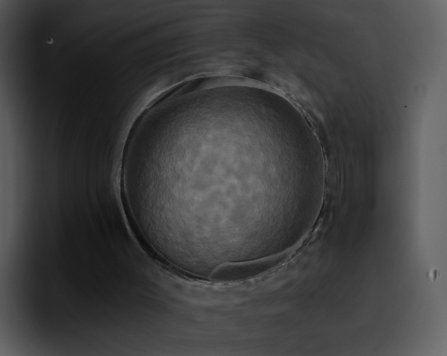 X0000095680003200801081238