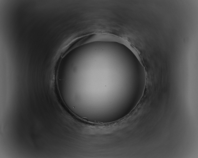 X0000095680005200801081238
