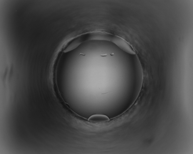 X0000095680006200801081238