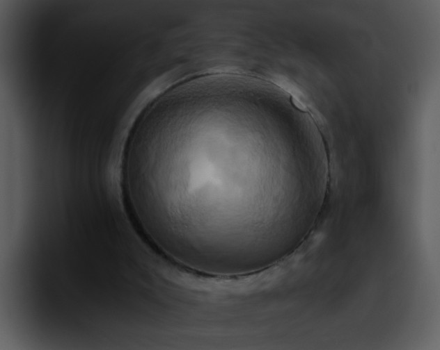 X0000095680007200801081238