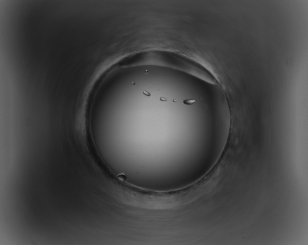 X0000095680008200801081238