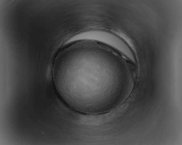 X0000095680009200801081238