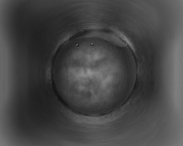 X0000095680010200801081238