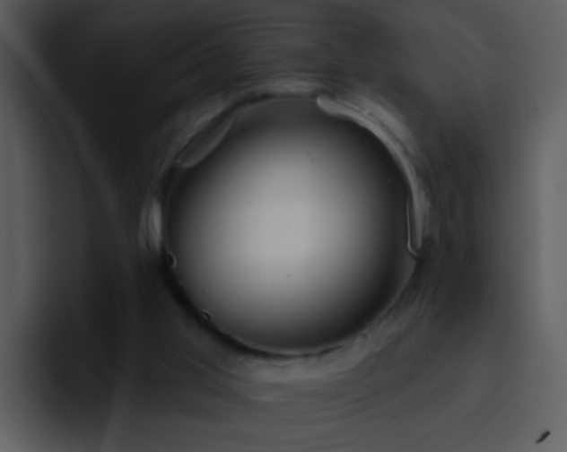 X0000095680013200801081238