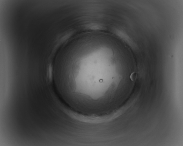 X0000095680014200801081238