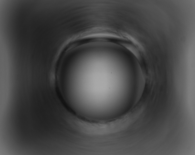 X0000095680015200801081238