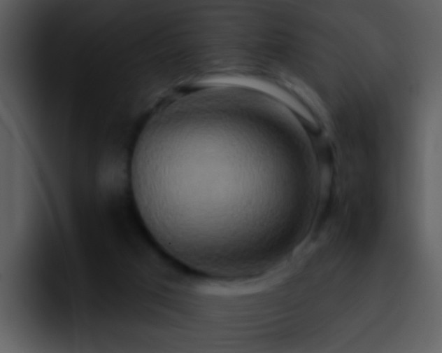 X0000095680017200801081238