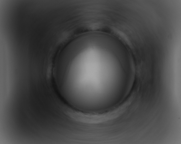 X0000095680018200801081238